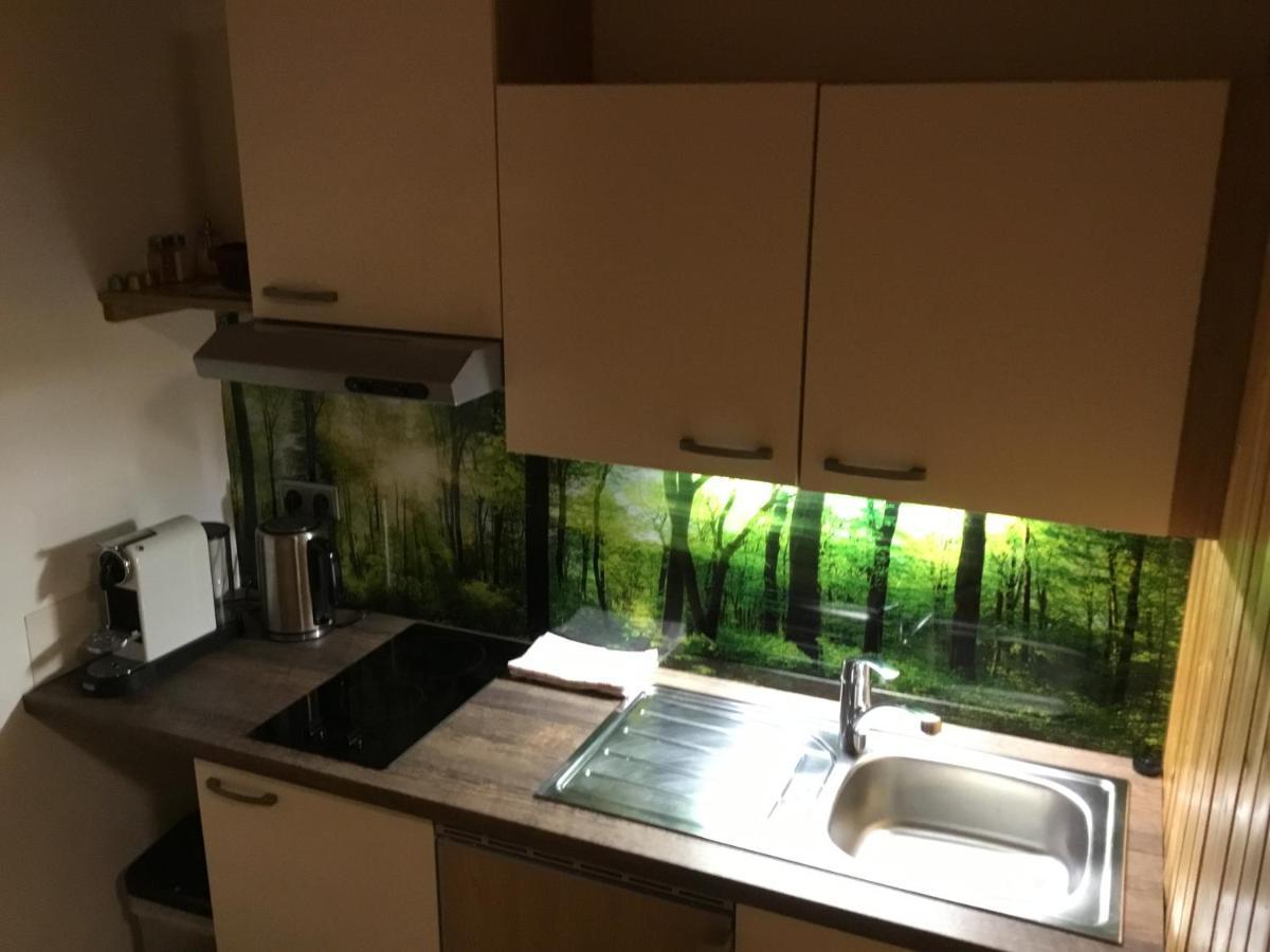 Ferienwohnungen Aigner Haus im Ennstal Buitenkant foto